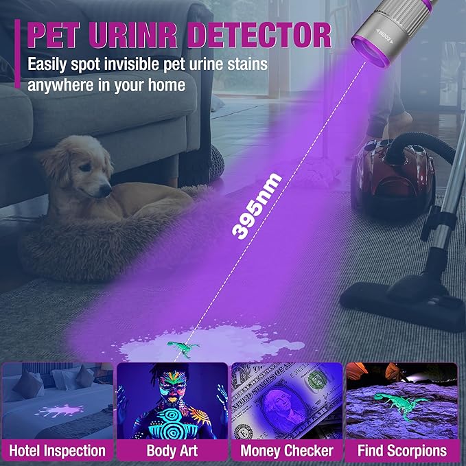 EverBrite Rechargeable Pen Flashlight with UV Light and White Light, 395nm Black Flashlight with Clip, Zoomable 4 Modes with Memory, USB C Cable, for Camping, Emergency, Pet Urine Detection,Grey