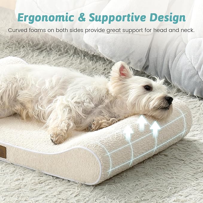 Orthopedic Dog Bed for Medium Dogs up to 65 lbs - Removable Washable Cover with Waterproof Lining & Non-Skid Bottom, Cotton-Polyester Blend Boat-Shaped Lounger Mattress, M(36x24x5.5in)/Beige
