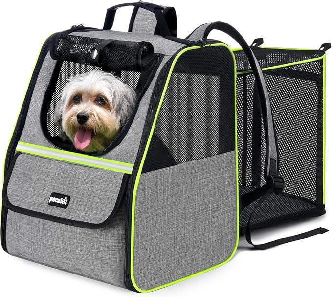 Pecute Cat Backpack Carrier, Expandable Cat Backpack for Cats Dogs up to 11 lbs, Pet Travel Backpack for Small Dogs Medium Cats, Cat Carrier with Ventilated Mesh, Safety Leash, Hiking Outdoor, Grey