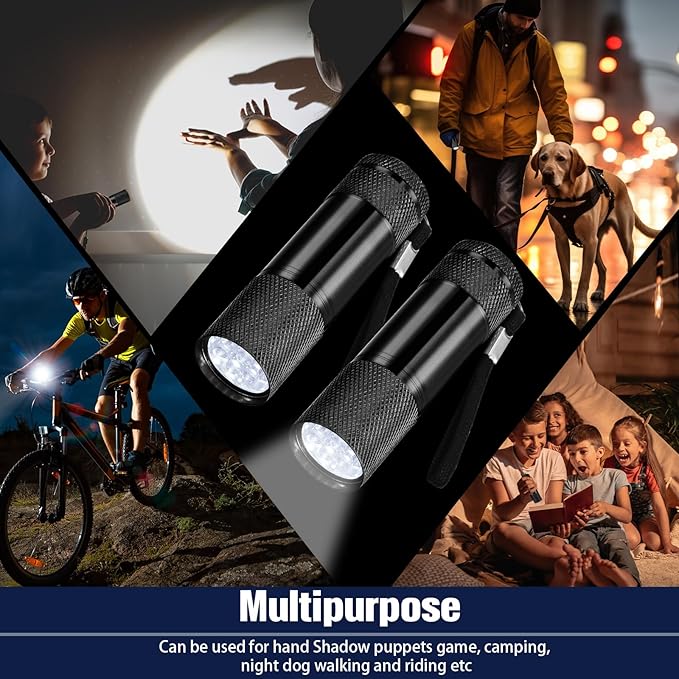 VIHOSE 12 Pcs Mini Flashlights Bulk, Bright Aluminum Handheld Flash Lights with Lanyard, Small LED Flashlights for Kids Night Reading Emergency Hurricane Camping Hiking Party Favors(Black)