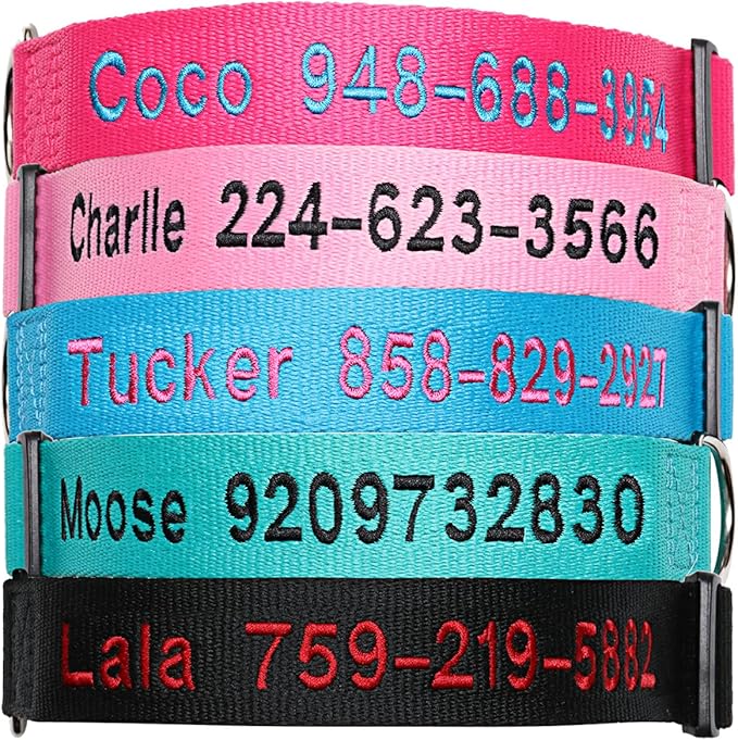 FlowerTown Personalized Dog Collar with Embroidered Name and Phone Number, Custom Dog ID Collars 4 Adjustable Sizes with Safety Release Buckle and D-Ring (Normal), Blue