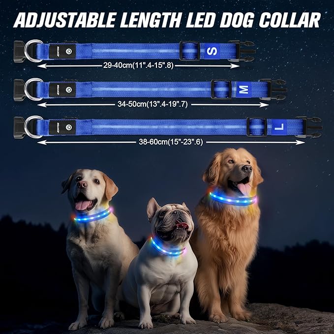 LED Dog Collar, Light Up Dog Collar, USB Rechargeable - Brightest Dog Lights for Night Walking, 6 Light Modes, Adjustable for Dog Safety(Small, Royal Blue)