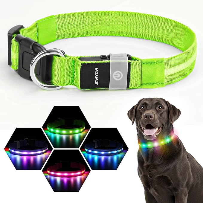 LED Dog Collar, Light Up Dog Collar, USB Rechargeable - Brightest Dog Lights for Night Walking, 6 Light Modes, Adjustable for Dog Safety(Small, Neon Green)