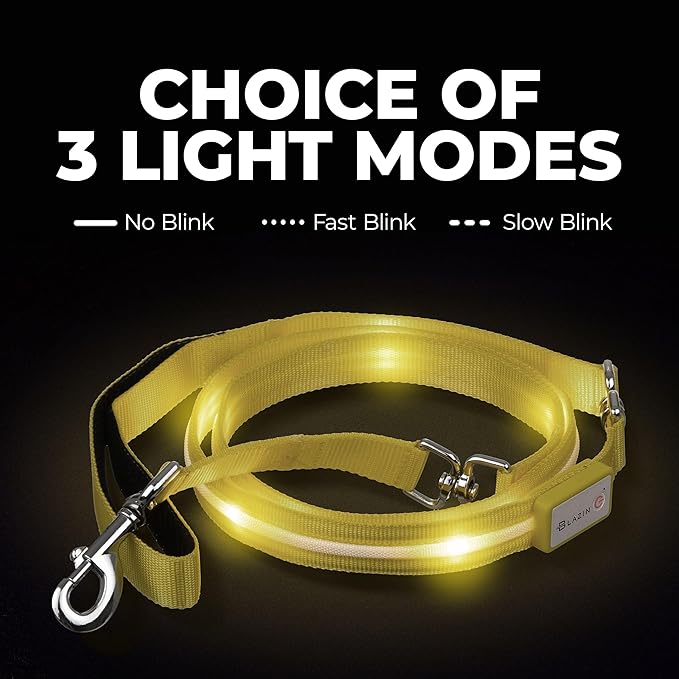 BLAZIN Light Up Dog Leash LED - 1,000 Feet of Visibility - USB Rechargeable Waterproof Glow in The Dark Dog Leash - 4 Foot, Light Blue