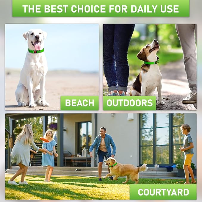 Adjustable Dog Collar with Safety Lock Buckle - Made in USA - Honeycomb Waterproof Heavy Duty Dog Collars for Medium Large Dogs - Odor Proof Pet Collar for Dogs with Strong Zinc D Ring Green