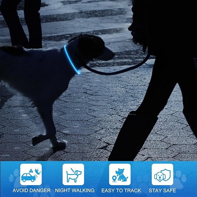 Lighted Dog Collar, Rechargeable 7 Colors Changing Light Up Dog Collar, IP67 Waterproof LED Collar Glow in The Dark, Make Pet Visible and Safety for Night Walking,Outdoor, for All Dogs