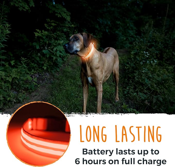 Mighty Paw LED Dog Collar - USB LED Rechargeable - USB Rechargeable Light - High Visibility Glow Strips - Glow Pet Feature - Weather Resistant - Bright Light Modes for Nighttime Safety - (L - Orange)
