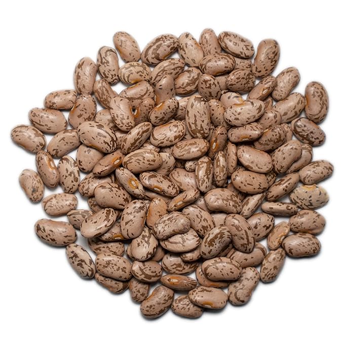 1000 Springs Mill Dry Pinto Beans - Non-GMO, Vegan-Friendly Bulk Pinto Beans with Resealable Bag - Used for Soups, Stews, Dips, Chili, Burritos, Refried Beans & More - 24oz (Pack of 1)