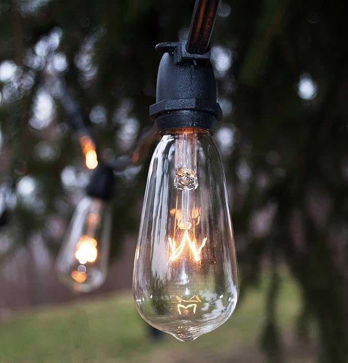 Hometown Evolution, Inc. Vintage Commercial Outdoor Edison String Lights (ST40 Clear - Commercial Black Wire, 50 ft)