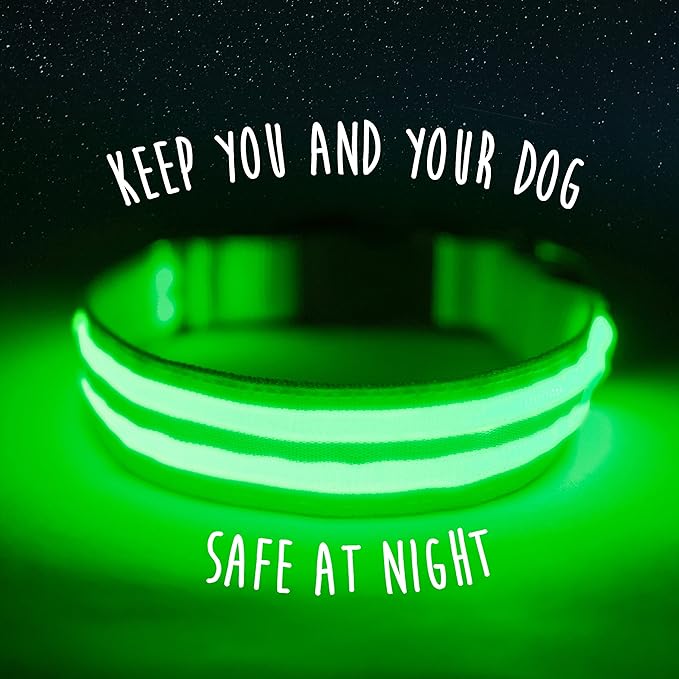 Mighty Paw LED Dog Collar - USB LED Rechargeable - USB Rechargeable Light - High Visibility Glow Strips - Glow Pet Weather Resistant - Enhanced Nighttime Visibility - Light Up Dog Collar - (L, Green)