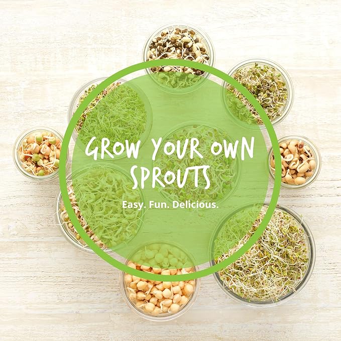 Organic Sprouting Seeds - Handy Pantry Sweet Protein Mix 8 oz. - Fava Bean, Mung Bean, & Yellow Pea Seeds - High Protein Food for Daily Health or Food Storage - Easy and Delicious Organic Sprout Seeds