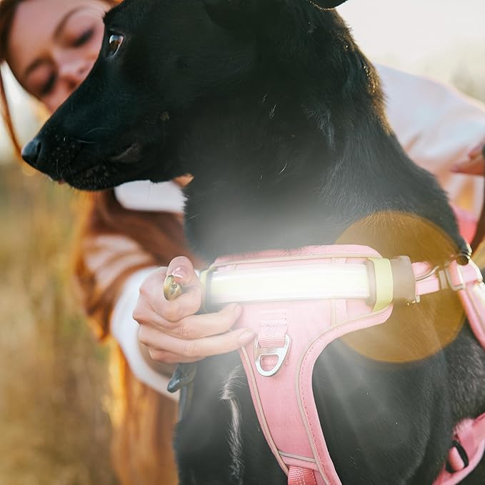 Lumi One LED Dog Harness for Night Visibility and Safety, Patent Pending, Adjustable Dog Harness Rechargeable Harness, Lumen LED Reflective Pet Apparel | Light-Up Dog Vest for Small Dogs (Pink, Small)