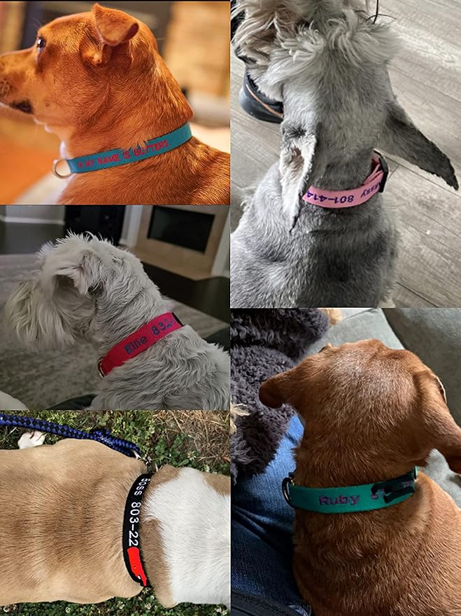 FlowerTown Personalized Dog Collar with Embroidered Name and Phone Number, Custom Dog ID Collars 4 Adjustable Sizes with Safety Release Buckle and D-Ring (Normal), Blue