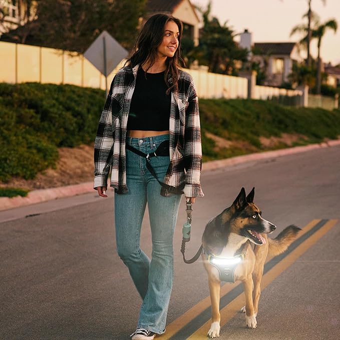 Lumi One- The Only Dog Harness That Lights Your Path at Night! Patent-Pending. Dog Safety Gear, Rechargeable Adjustable Pet Harness, Durable Pet Walking Gear (Teal Blue, Medium)