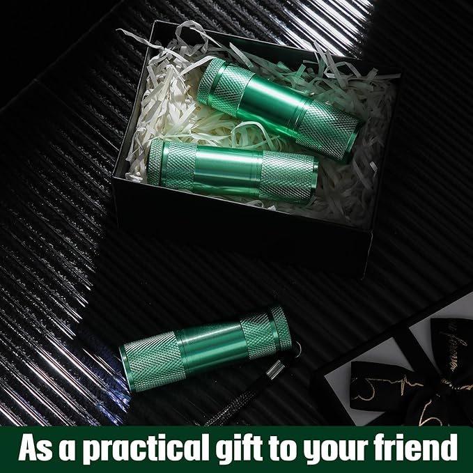 VIHOSE 20 Pcs Mini Flashlights Bulk, Bright Aluminum Handheld Flash Light with Lanyard Small LED Flashlights for Night Reading Emergency Hurricane Camping Hiking, Batteries Not Included(Green)