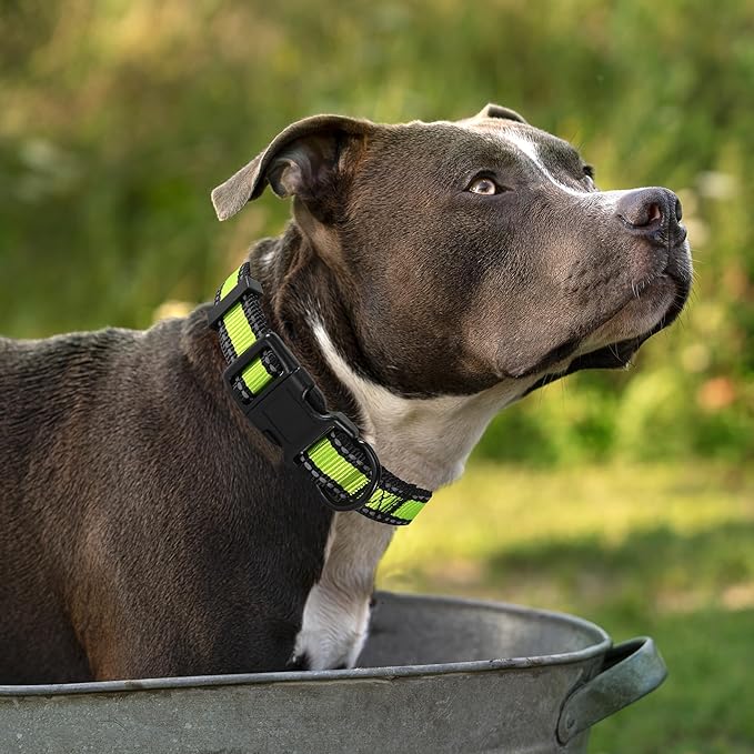 Mile High Life Dog Collar | Nylon Reflective Dog Collars | Light Weight Puppy Collars | Lime Green Dog Collars for Large Dogs (Lime Green, Large)