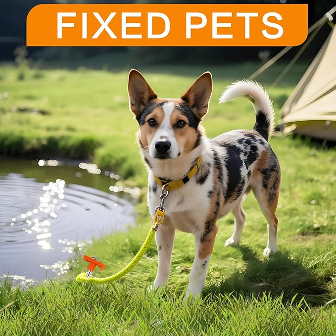 10 Pack Tent Stakes - 9.75 Inch Galvanized Non-Rust Ground Stakes Heavy Duty Canopy Anchors Metal Tent Pegs for Camping, Garden, Hiking, Orange