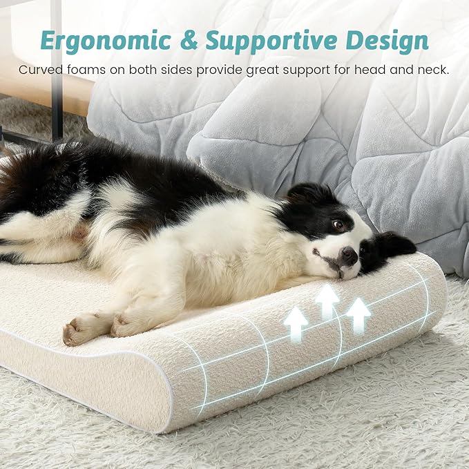 Orthopedic Dog Bed for Extra Large Dogs up to 140 lbs - Removable Washable Cover with Waterproof Lining, Cotton-Polyester Blend Boat-Shaped Lounger Mattress, XL(51x36x8in), Beige