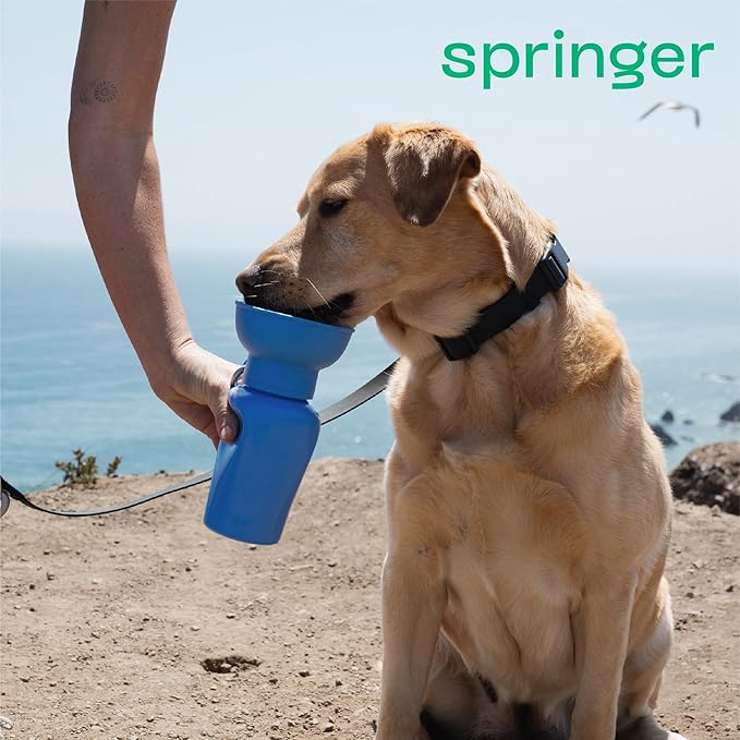 Springer Flip Portable Dog Water Bottle with Foldable Food Grade Silicone Bowl - 20 Ounce Travel Dog Water Bottle Ideal for Camping - Easy Squeeze Hydration & Release to Drain