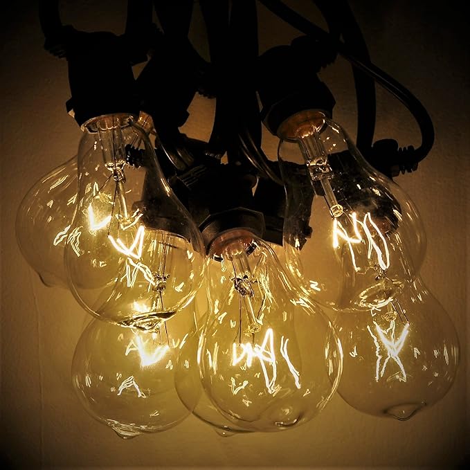 Hometown Evolution, Inc. Commercial Grade Vintage Edison Outdoor String Lights (PS50 Clear - Commercial Black Wire, 100 ft)
