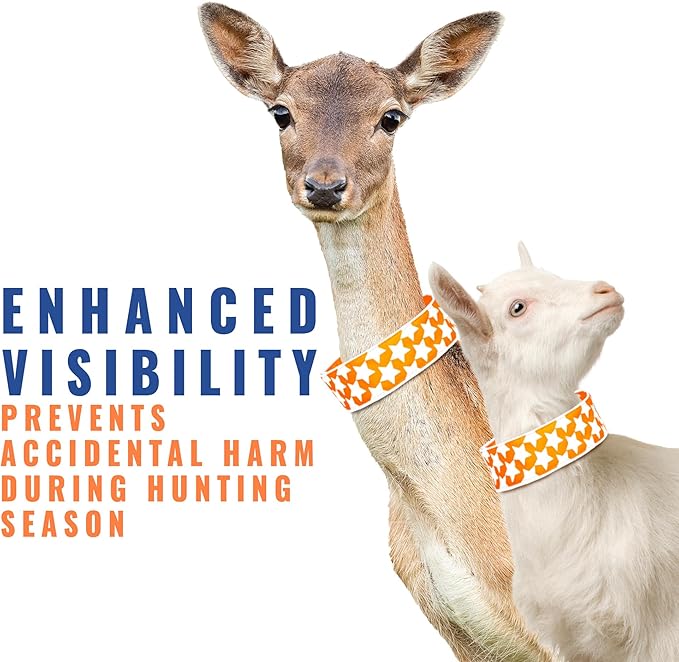 SafetyPUP XD Reflective Dog Collar ??Blaze Orange Dog Collar, Adjustable Closure for a High Visibility Customizable Collar for Goats, Dogs, Deer, and Livestock. Reflective Stars Enhance Night Safety