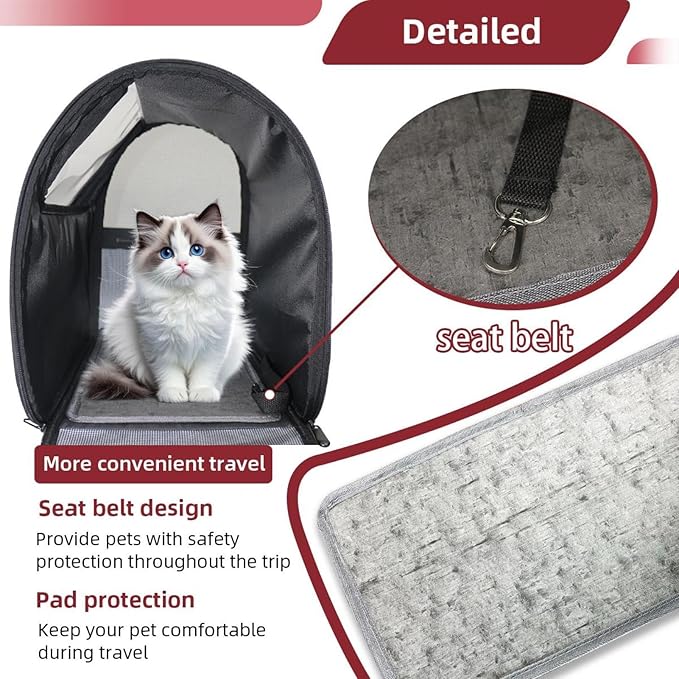 Butterfly on Black Background Transparent Pet Carrier for Travel Hiking for Kitty Small Dog