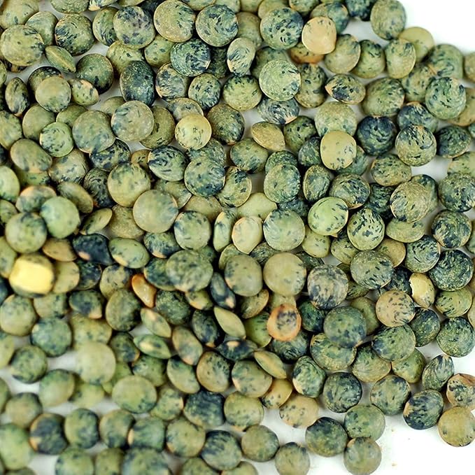 Organic French Lentil Sprouting Seeds - 2.5 Lb - French Lentils - Perfect for Edible Seeds, Gardening, Hydroponics, Salad, Soup, Sprouts & Food Storage