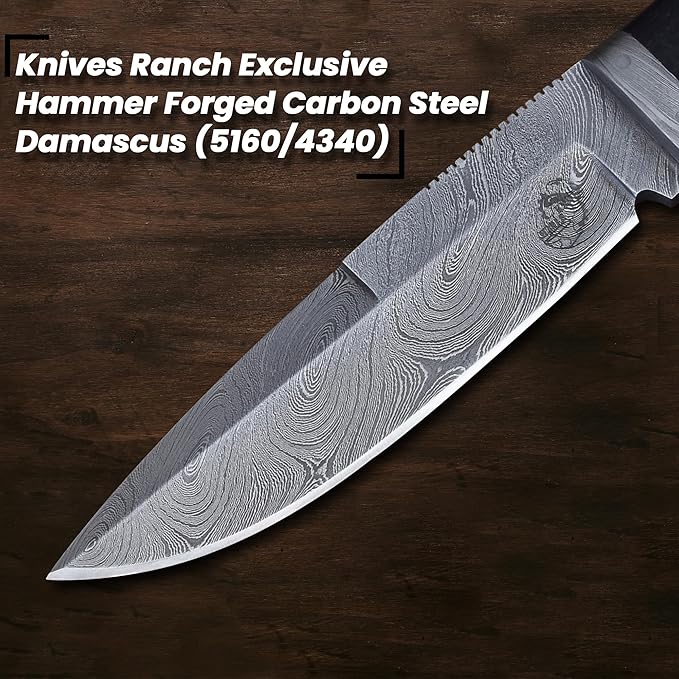 Knives Ranch Handmade 9-3/4" Hunting Knife - Full Tang Construction - Excellent Edge Retention - Rosewood Handle - Genuine Leather Sheath (3052-IRW)