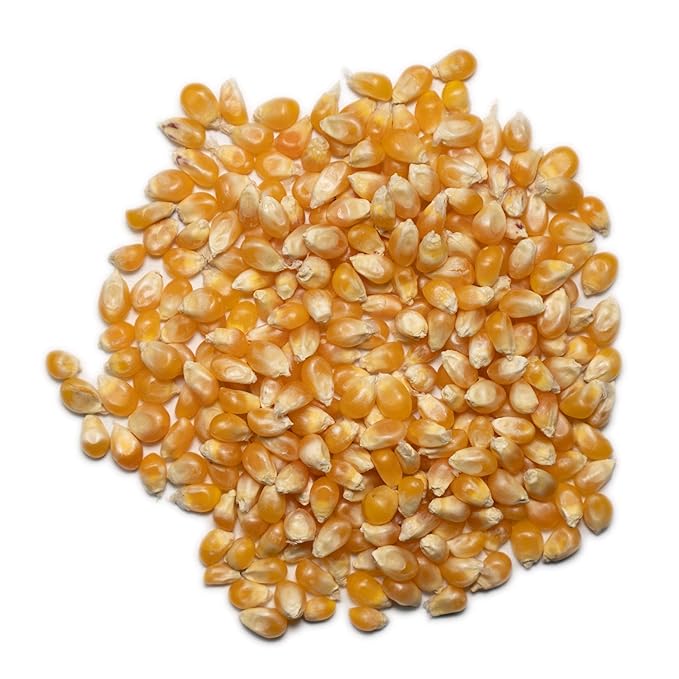 1000 Springs Mill Organic Dry Popcorn Kernels - Non-GMO, Healthy Snack for Microwave or Stovetop - Bulk Organic Popcorn Kernels with Resealable Bag - Enjoy Fresh & Crisp Popcorn - 16oz (Pack of 4)