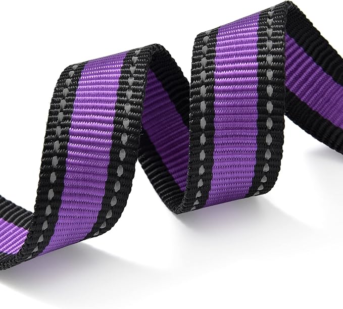 Mile High Life Dog Collar | Nylon Reflective Dog Collars | Light Weight Puppy Collars | Purple Dog Collars for Small Dogs (Purple, Small)