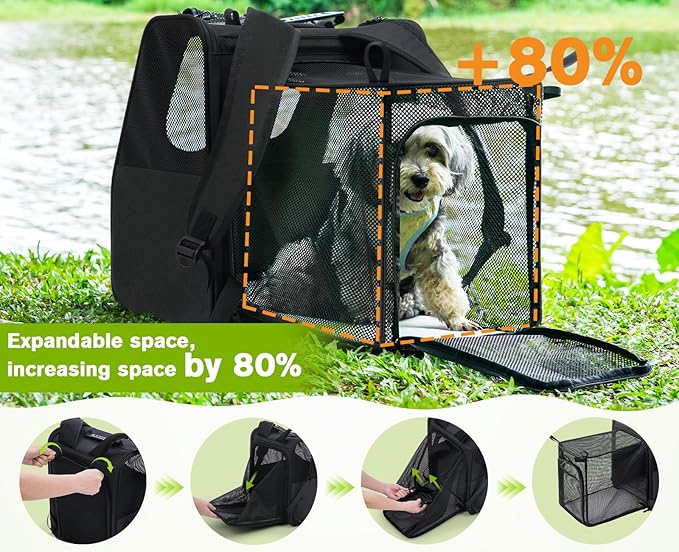 Pecute Cat Backpack Carrier, Expandable Cat Backpack for Cats Dogs up to 11 lbs, Pet Travel Backpack for Small Dogs Medium Cats, Cat Carrier with Ventilated Mesh, Safety Leash, Hiking Outdoor, Black