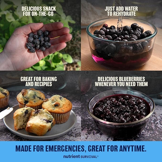 Freeze-Dried Strawberries ??Premium Sliced | #10 Can | 25-Year Shelf Life | Emergency Food & Clean Snacking (Blueberries)