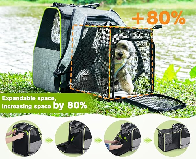 Pecute Cat Backpack Carrier, Expandable Cat Backpack for Cats Dogs up to 11 lbs, Pet Travel Backpack for Small Dogs Medium Cats, Cat Carrier with Ventilated Mesh, Safety Leash, Hiking Outdoor, Grey