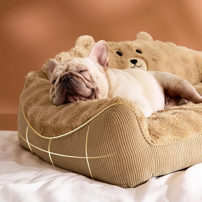 LE SURE Cute Dog Couch for Pets - Fluffy Original Bear Design Dog Beds for Medium Dogs, Pet Sofa with Washable Cover, Supportive Dogs Sofa Bed with Removable, 36inch, Almond