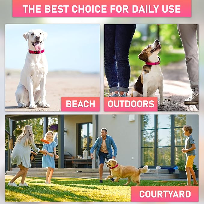 Adjustable Dog Collar with Safety Lock Buckle - Made in USA - Honeycomb Waterproof Heavy Duty Dog Collars for Medium Large Dogs - Odor Proof Pet Collar for Dogs with Strong Zinc D Ring Pink