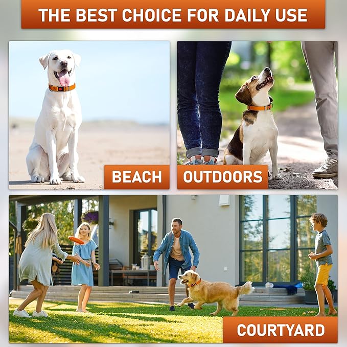 Adjustable Dog Collar with Safety Lock Buckle - Made in USA - Honeycomb Waterproof Heavy Duty Dog Collars for Medium Large Dogs - Odor Proof Pet Collar for Dogs with Strong Zinc D Ring Orange