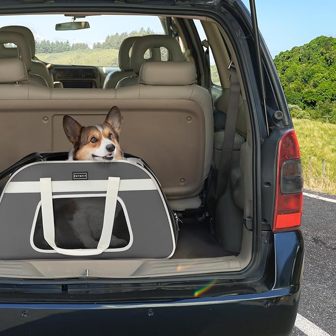PETSFIT Large Pet Carrier with Wheels Designed for 2 Small Dogs/Multiple Kittens/Medium Dogs with Adjustable Safety Rope & Waterproof Bottom(?‘µ?’�?’• ?’‚?’Š?’“?’�?’Š?’�?’† ?’‚?’‘?’‘?’“?’�?’—?’†?’…)