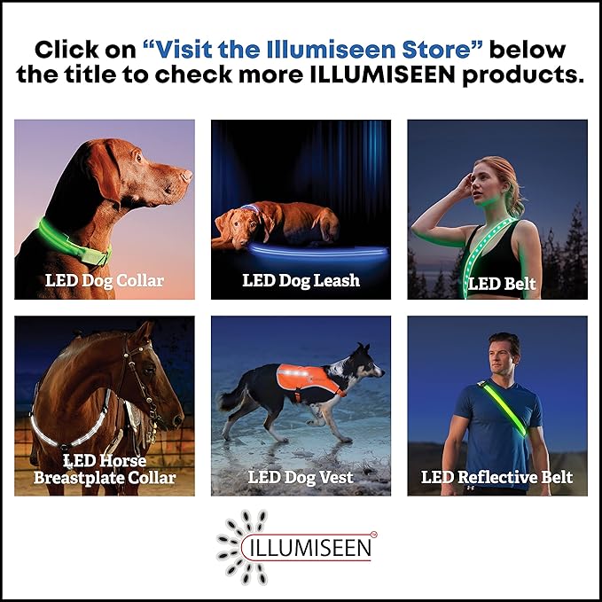 ILLUMISEEN LED Dog Collar USB Rechargeable - Bright & High Visibility Lighted Glow Collar for Pet Night Walking - Weatherproof, in 6 Colors & 6 Sizes (Red Medium)