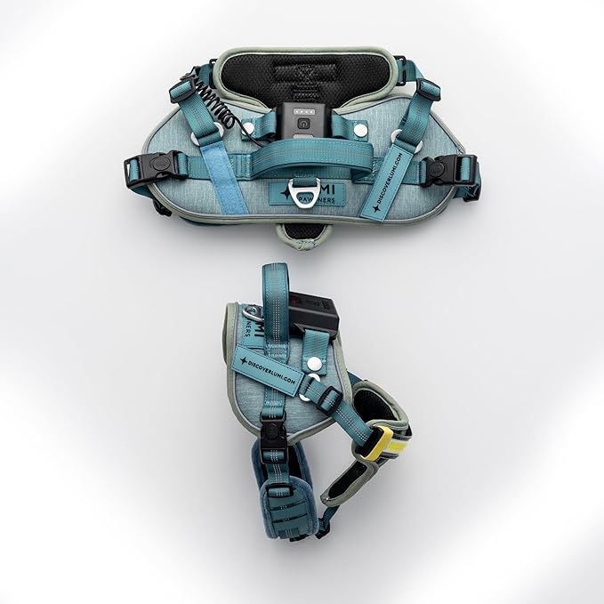 Lumi One- The Only Dog Harness That Lights Your Path at Night! Patent-Pending. Dog Safety Gear, Rechargeable Adjustable Pet Harness, Durable Pet Walking Gear (Teal Blue, Medium)