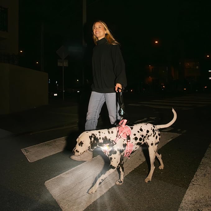 Lumi One LED Dog Harness for Night Visibility and Safety, Patent Pending, Adjustable Dog Harness Rechargeable Harness, Lumen LED Reflective Pet Apparel | Light-Up Dog Vest for Small Dogs (Pink, Small)