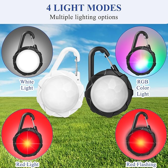Dog Lights for Night Walking, 2 Pack 4 Modes Dog Collar Light, IP68 Waterproof Pet LED, 700 mAh High Capacity USB Rechargeable Pet Safety Accessories for Night Cycling, Climbing, Camping