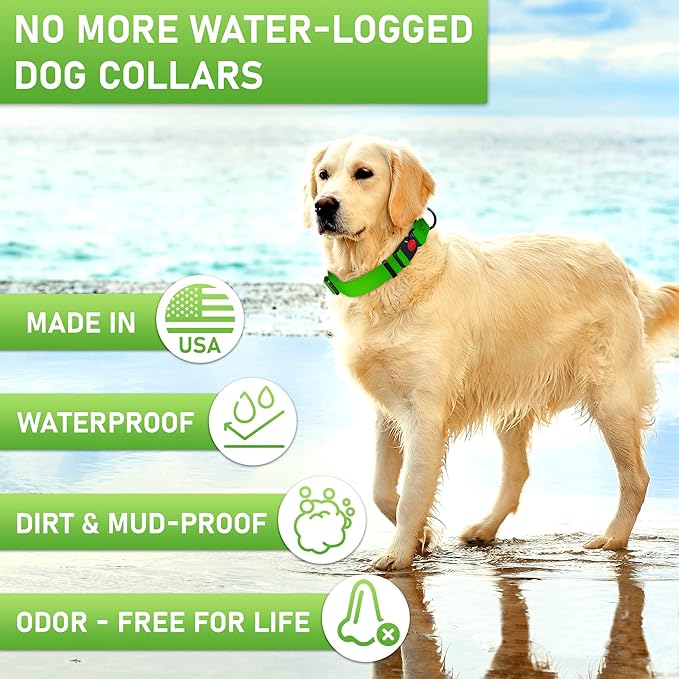 Adjustable Dog Collar with Safety Lock Buckle - Made in USA - Honeycomb Waterproof Heavy Duty Dog Collars for Medium Large Dogs - Odor Proof Pet Collar for Dogs with Strong Zinc D Ring Green