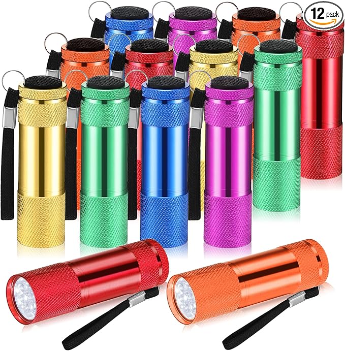 VIHOSE 12 Pcs Mini Flashlights Bulk, Bright Aluminum Handheld Flash Lights with Lanyard, Small LED Flashlights for Kids Night Reading Emergency Hurricane Camping Hiking Party Favors(Fresh Colors)