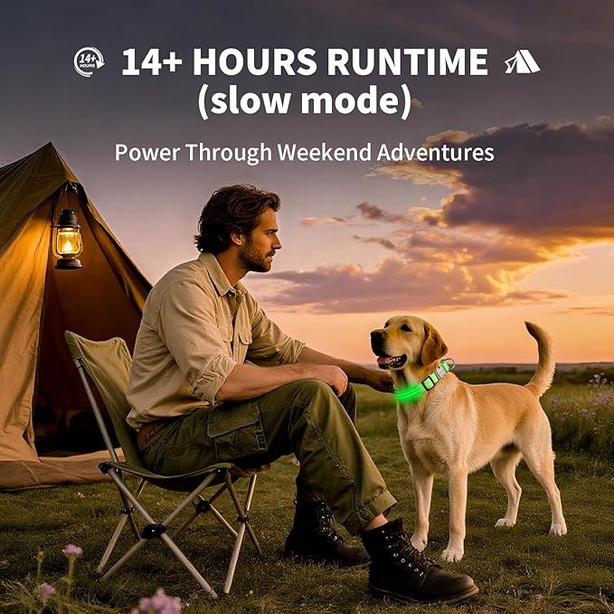 LED Dog Collar with Metal Buckle - USB Rechargeable Glow Collar for Dogs, Waterproof Light Up Dog Collar w/Reflective Strips - Adjustable Night Safety Collars by PetIsay(Green, Small)