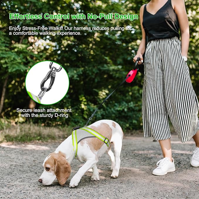Visinite LED Dog Harness, USB Rechargeable Light Up Dog Vest, 2 Illuminate Modes Glow in The Dark Dog Harness, Adjustable Lighted Pet Harness Light for Night Walking Safety (Green, S)