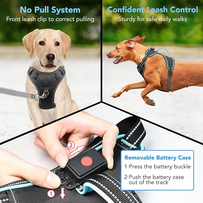 LED Light Dog Harness, X-Large, Black-Blue, No-Pull, Rechargeable, for Large Dogs