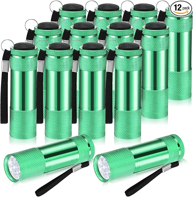 VIHOSE 12 Pcs Mini Flashlights Bulk, Bright Aluminum Handheld Flash Lights with Lanyard, Small LED Flashlights for Kids Night Reading Emergency Hurricane Camping Hiking Party Favors(Green)