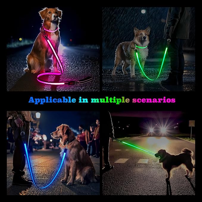 4 Ft LED Dog Leash, Light Up & Lighted Dog Leash, 7 Lighting Modes, Glow in The Dark, Reflective, Double-Sided Light, Rechargeable with Padded Handle for Night Walking Safety, Small to Large Pets