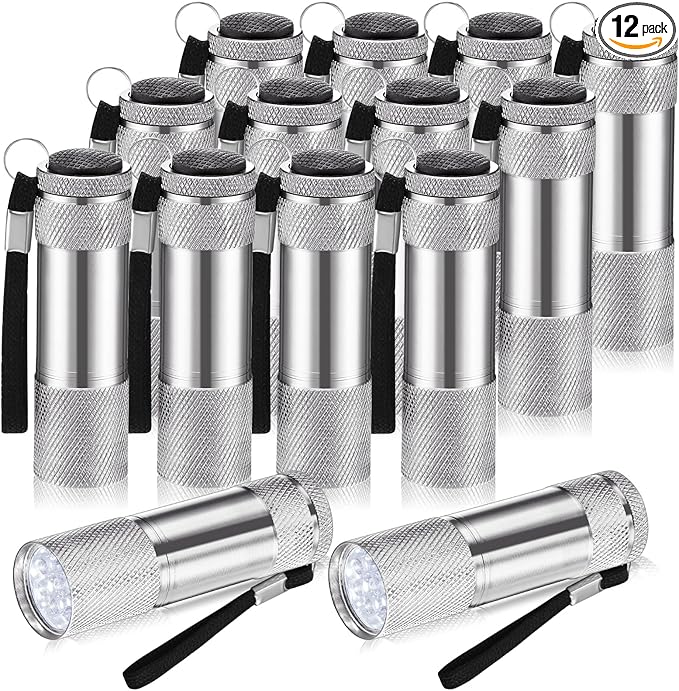 VIHOSE 12 Pcs Mini Flashlights Bulk, Bright Aluminum Handheld Flash Lights with Lanyard, Small LED Flashlights for Kids Night Reading Emergency Hurricane Camping Hiking Party Favors(Silver)