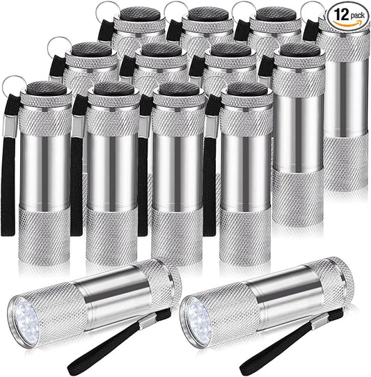 VIHOSE 12 Pcs Mini Flashlights Bulk, Bright Aluminum Handheld Flash Lights with Lanyard, Small LED Flashlights for Kids Night Reading Emergency Hurricane Camping Hiking Party Favors(Silver)